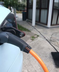 Holenderscy parlamentarzyści chcą zakazu sprzedaży samochodów spalinowych