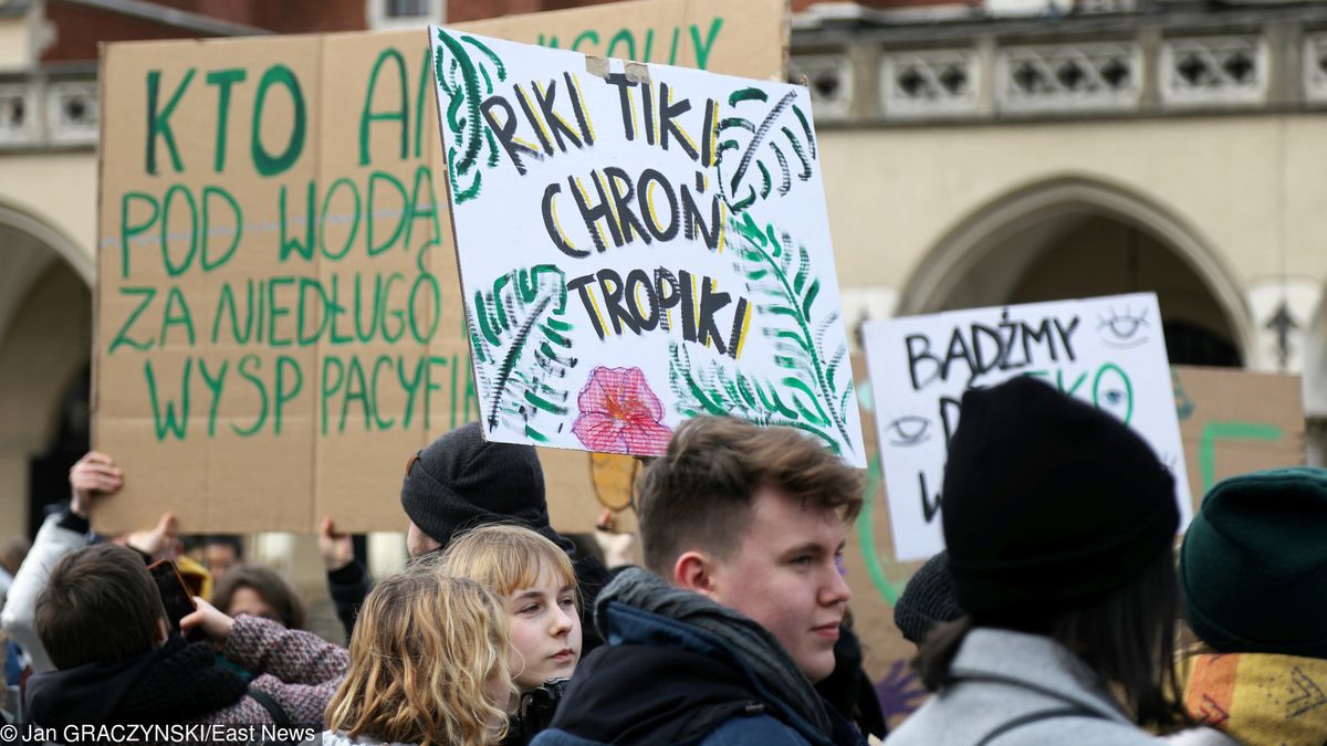 Młodzieżowy Strajk Klimatyczny. Młodzi Polacy wyszli już na ulice polskich miast w marcu. Z tego samego powodu