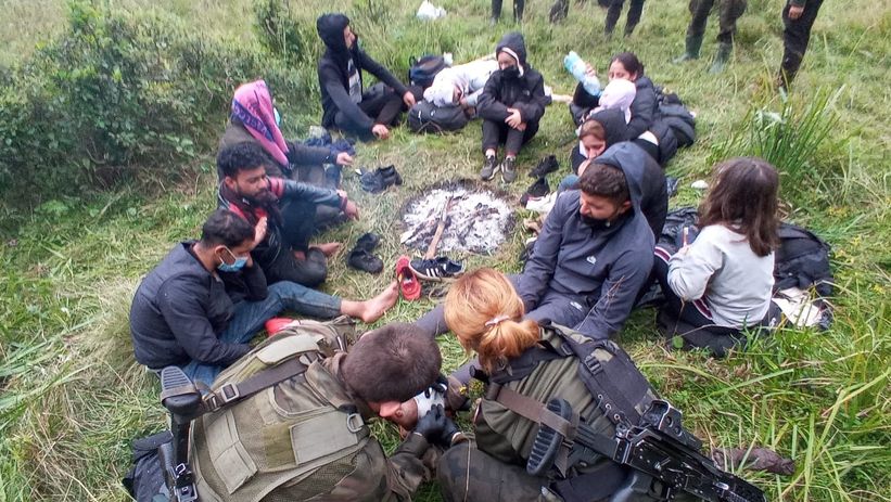 Grupa imigrantów utknęła na bagnach. Do akcji wkroczyła Straż Graniczna.