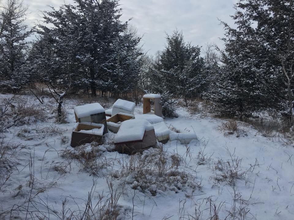 Widok zniszczonej pasieki 