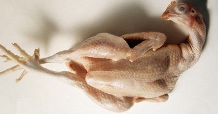 Niektórzy są przekonani, że kurczak chroni przed ciążą