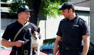 Ktoś ostrzelał wolontariuszkę zajmującą się zwierzętami. Kobieta czuje się zaszczuta