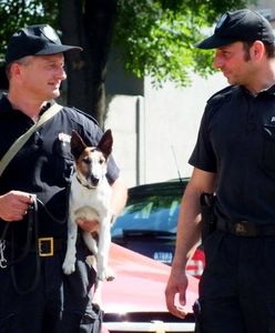 Ktoś ostrzelał wolontariuszkę zajmującą się zwierzętami. Kobieta czuje się zaszczuta