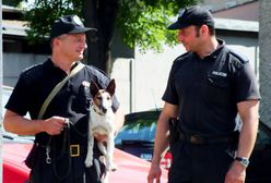 Ktoś ostrzelał wolontariuszkę zajmującą się zwierzętami. Kobieta czuje się zaszczuta