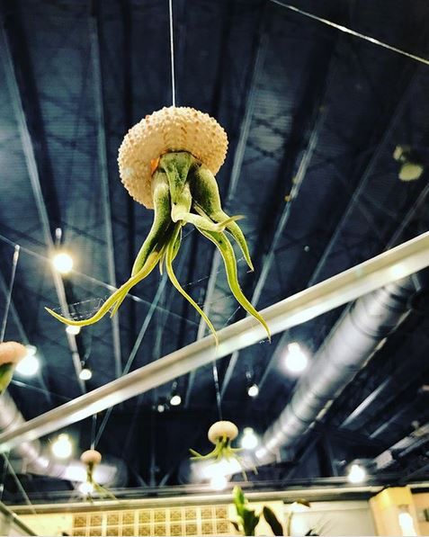 ©jotajurado/Instagram