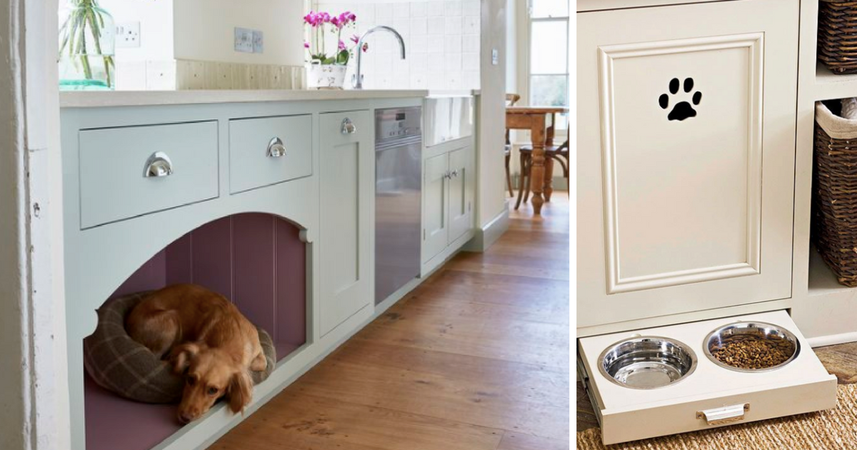 Jeśli masz futrzaka, konieczne wykorzystaj te genialne pomysły w swojej kuchni. Zwierzaki będą zachwycone