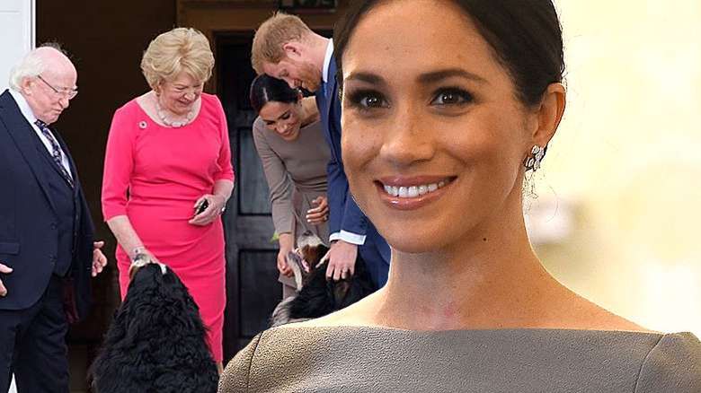 Meghan Markle i książę Harry na spotkaniu z prezydentem Irlandii