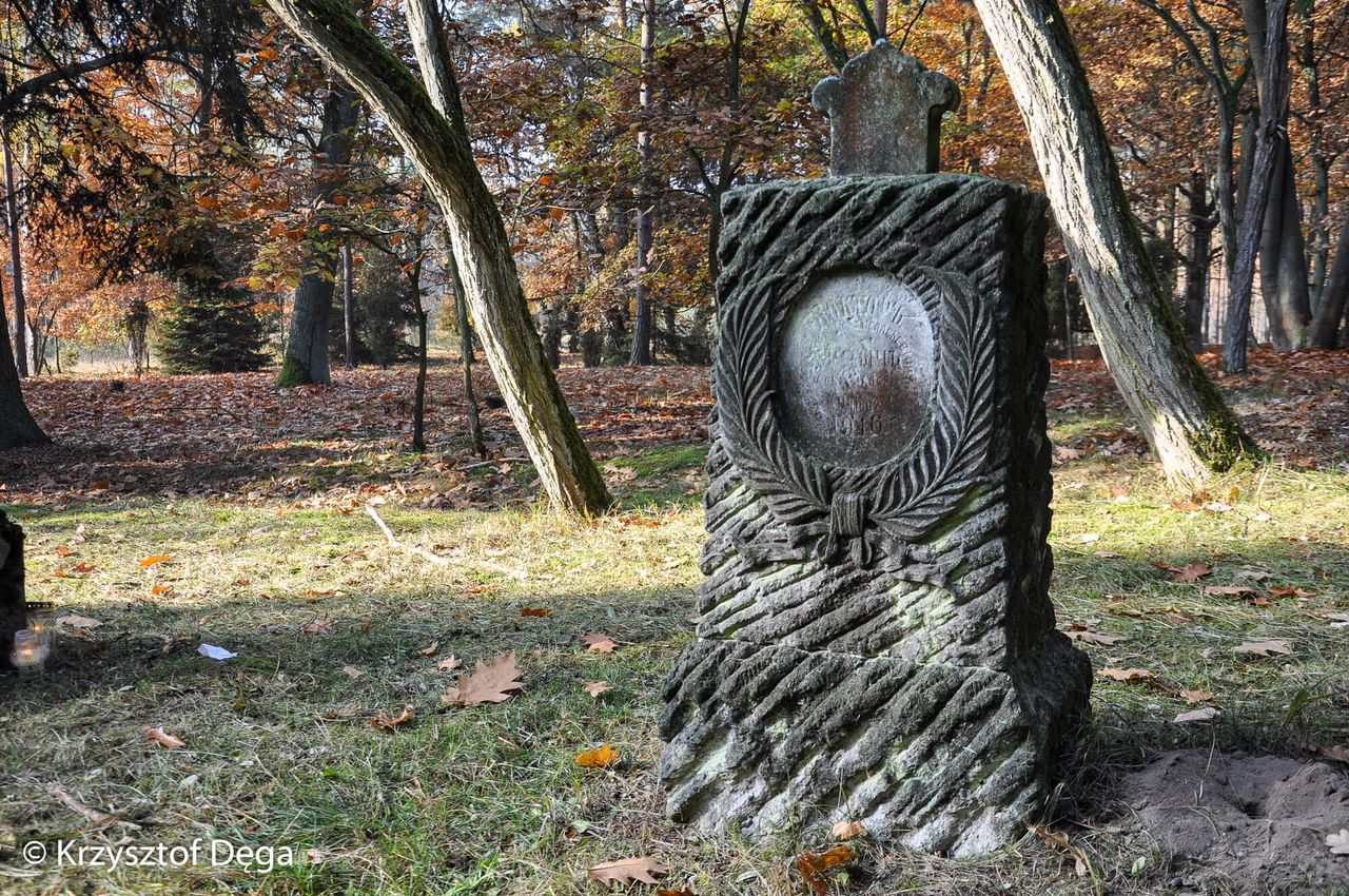 Cmentarz Wojenny Żołnierzy Polskich i Radzieckich w Leszkowie