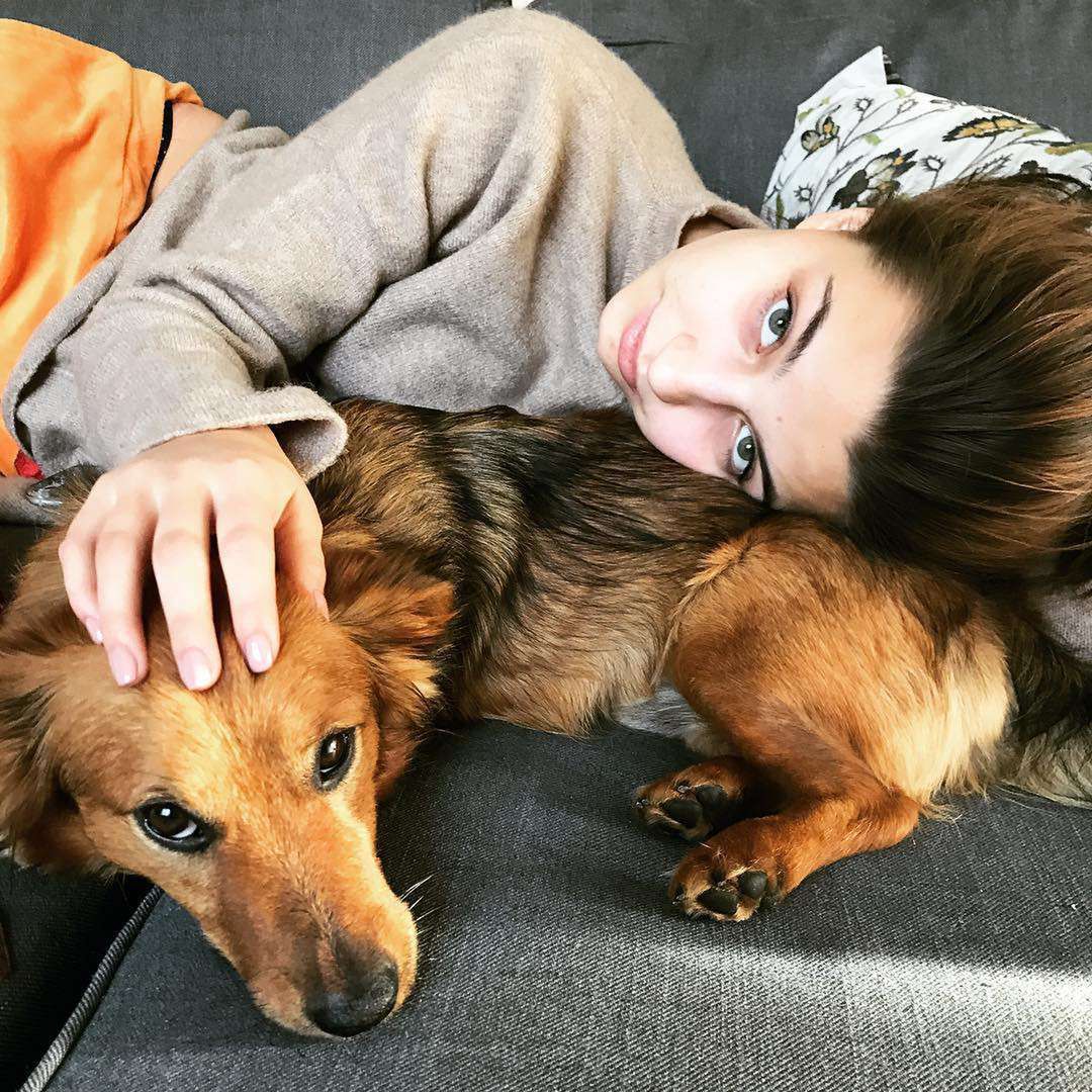 Julia Wieniawa tuli psa