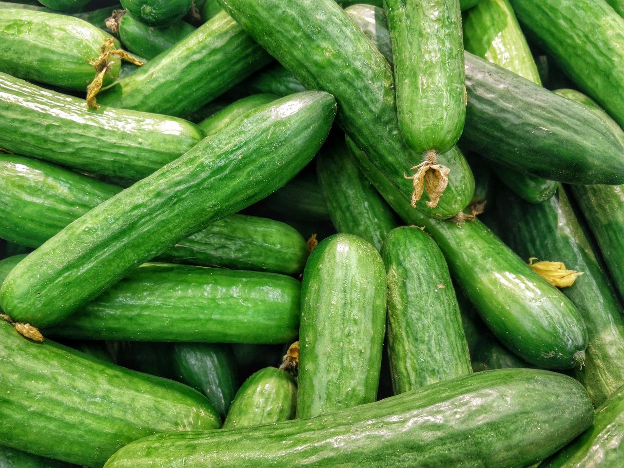 use of cucumber peel, photo. Unsplash