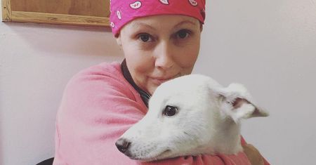 Chora na raka Shannon Doherty wyznała, że wie, jak chce się pożegnać. Emocjonalna reakcja męża
