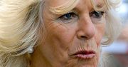 Dzisiaj księżna, a kiedyś? Nie uwierzycie, co robiła Camilla Parker-Bowles zanim rozkochała w sobie księcia Karola!