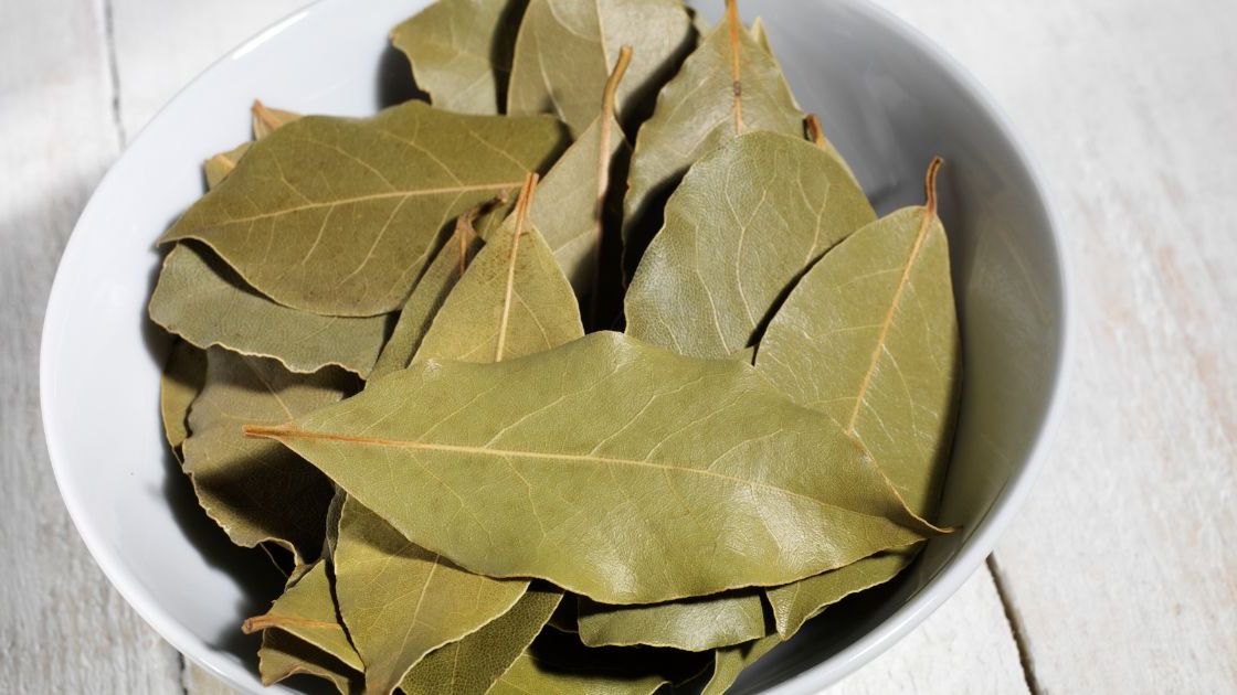 Liść laurowy- Pyszności źródło Canva
