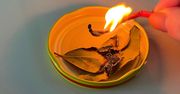 Zamiast do garnka, włóż pod poduszkę lub podpal. Patent, który zostanie z tobą na długo