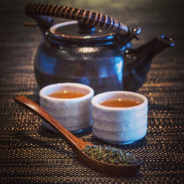 Liście białej herbaty, które naturalnie rosną w Indiach.