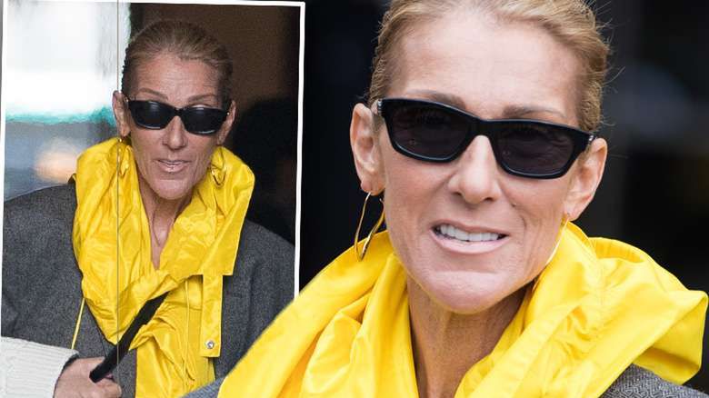 Celine Dion maskuje szczupłą sylwetkę w oryginalnej sukience