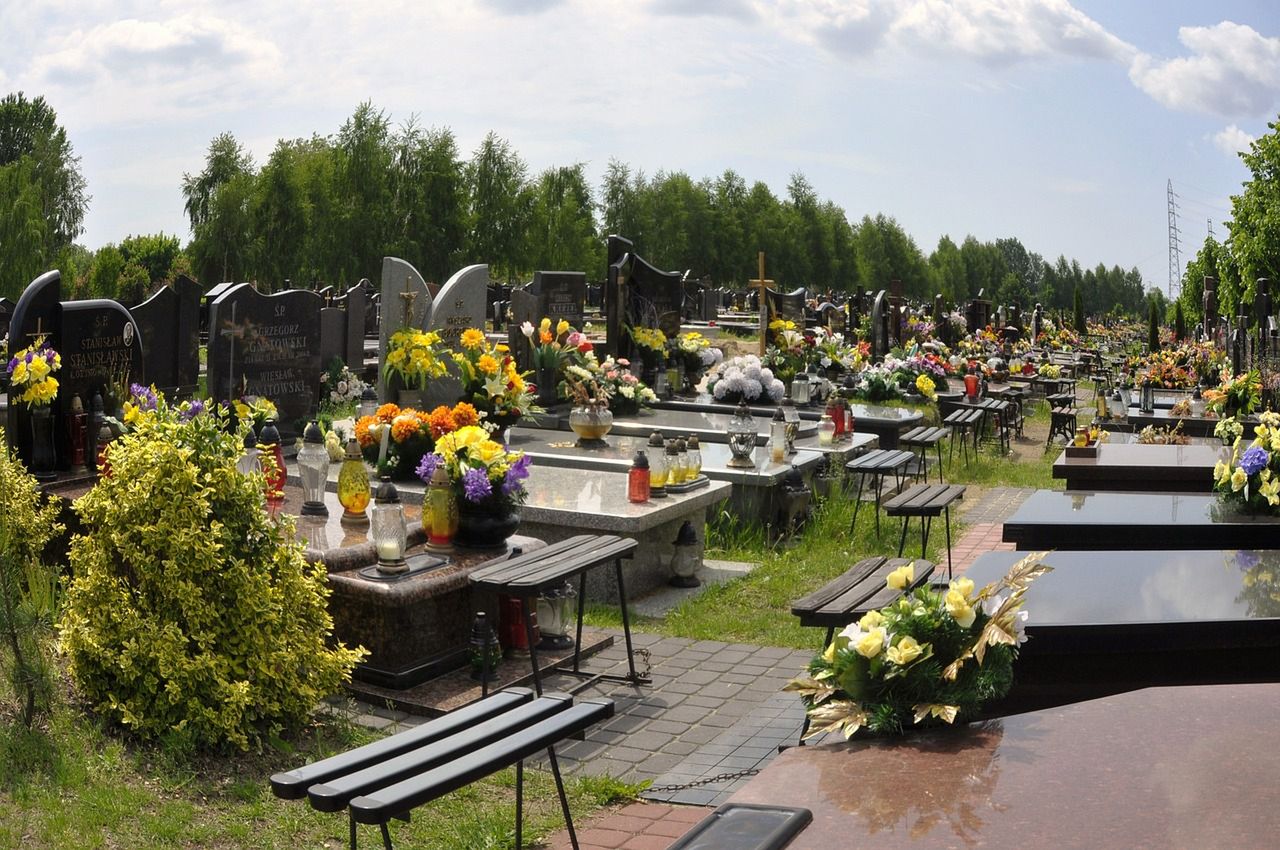 jak zabezpieczyć kwiaty na cmentarzu przed kradzieżą, fot. Pixabay