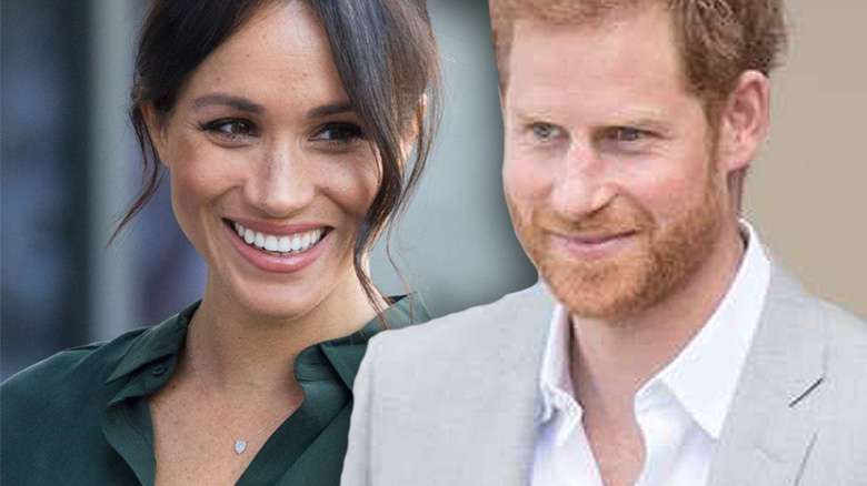 Meghan Markle i książę Harry mają psa