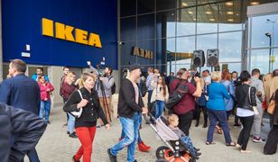 Zabawna sytuacja w nowej Ikei. Amatora znalazły nawet sztuczne jabłka