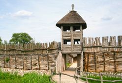 Biskupin  -  Google Doodle upamiętnia 85. rocznicę odkrycia osady w Biskupinie