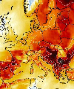 IMGW przeraża nową prognozą pogody. Zima odwołana, do kwietnia czeka nas życie na gorąco