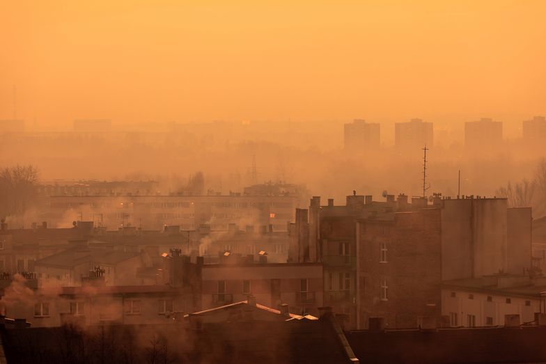 Smog nad Polską. Program walki o czyste powietrze nieskuteczny?