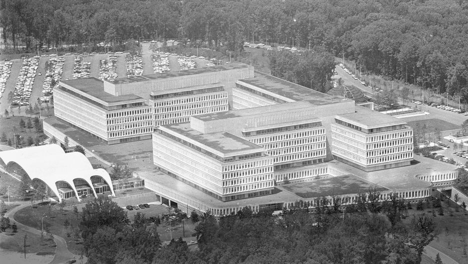 W latach 60. CIA usiłowało wykorzystać koty w roli żywych urządzeń podsłuchowych