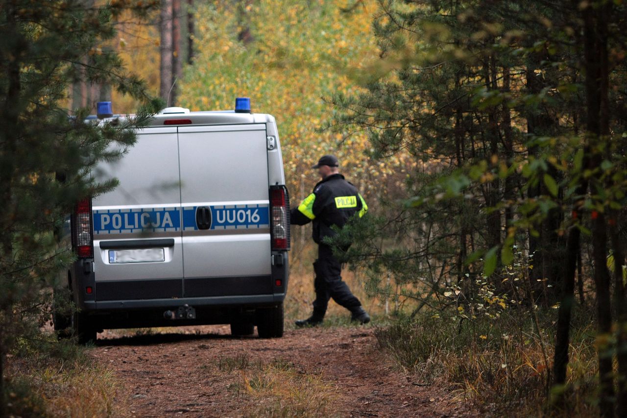 Międzychód. Obława w Puszczy Noteckiej. Duże siły policji