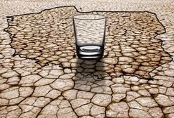 Pogoda na lipiec 2019: coraz większa susza pustoszy miejsca uprawy. Ceny produktów spożywczych wzrosną?