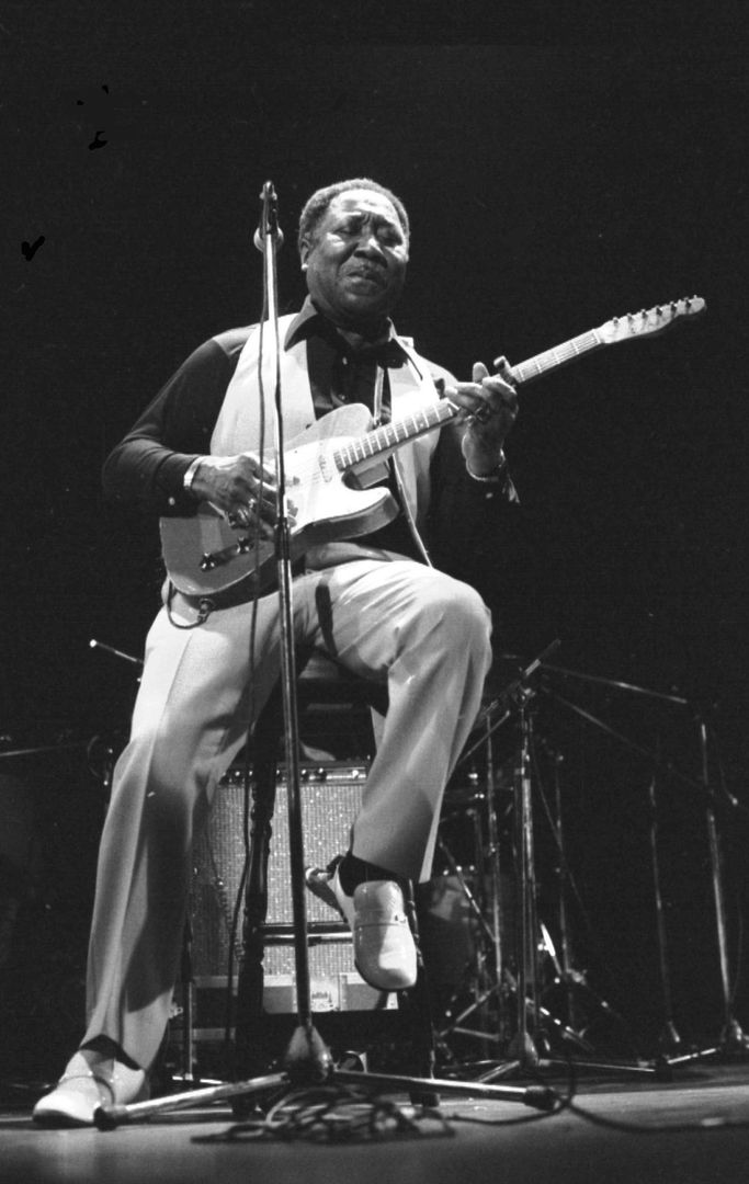 Muddy Waters