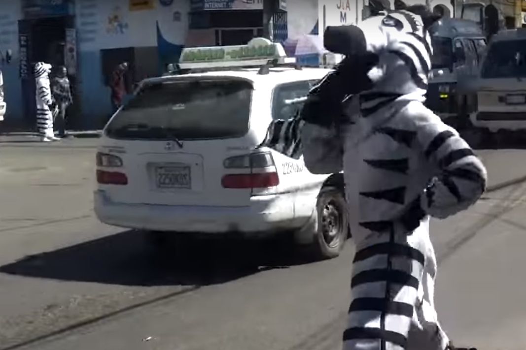 Pomysł Boliwijczyków na usprawnienie ruchu. Przebierają się za zebry i wyśmiewają kierowców