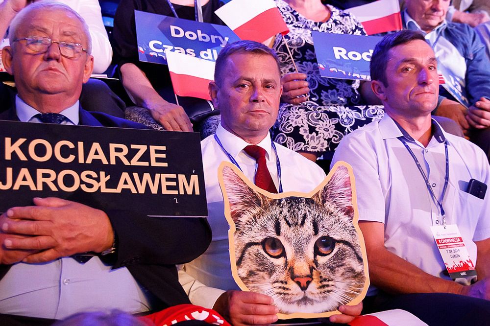 "Kociarze z Jarosławem". Nietypowy transparent dla Jarosława Kaczyńskiego na konwencji PiS