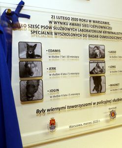 Warszawa. Policjanci upamiętnili tragicznie zmarłe psy. "Były wiernymi towarzyszami"