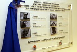 Warszawa. Policjanci upamiętnili tragicznie zmarłe psy. "Były wiernymi towarzyszami"