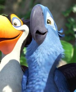 Papuga ara modra całkowicie wyginęła. Pojawiła się w animacji "Rio"