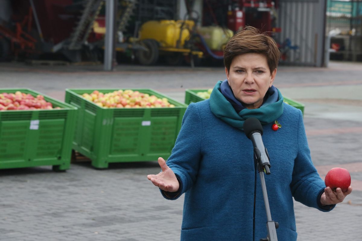 Amerykańscy inspektorzy sanitarni w Polsce. "Sprawa miesięcy, a może tygodni"