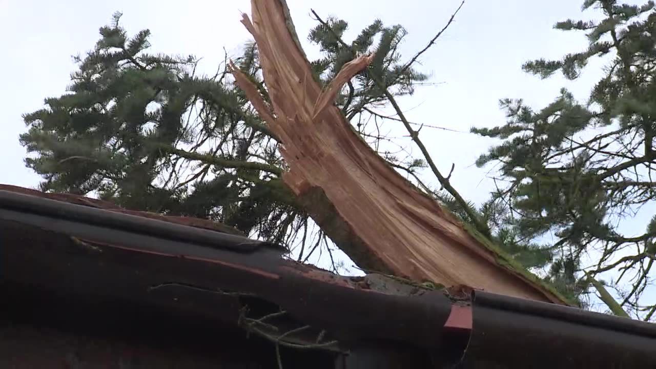 Śmiertelna ofiara wichury. Drzewo przygniotło samochód.