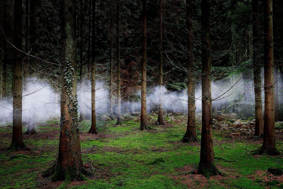 Zdjęcia finalistów Smithsonian Photo Contest zachwycają pięknem i różnorodnością życia 28