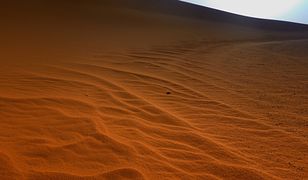 Sahara. Niesamowite odkrycie polskich naukowców