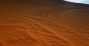 Sahara. Niesamowite odkrycie polskich naukowców