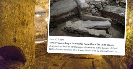 Znaleźli go w podziemiach Notre-Dame. "Niezwykle rzadkie...."
