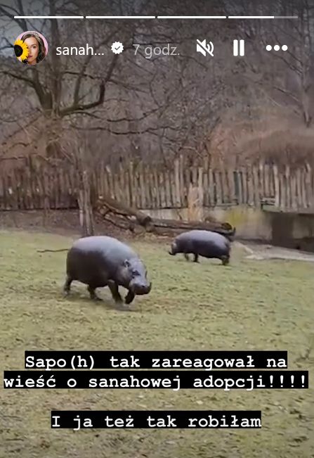 Sanah pokazała swojego "wychowanka" (Instagram)