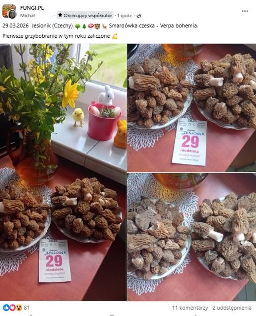 Udane grzybobranie już w marcu