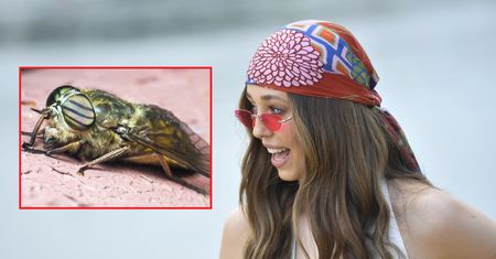 Krzan pokazała się w bikini. Bardzo nietypowe porównanie. "Lubi kąsać"