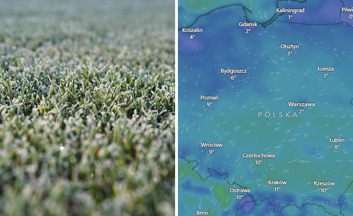 Przymrozki w majówkę? Wiadomo, kiedy przyjdzie ochłodzenie