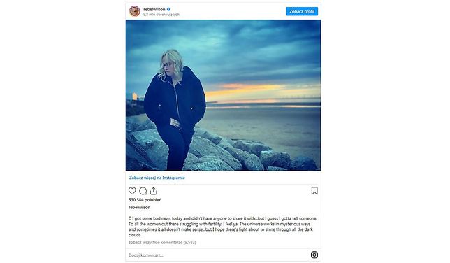 Instagram Rebel Wilson