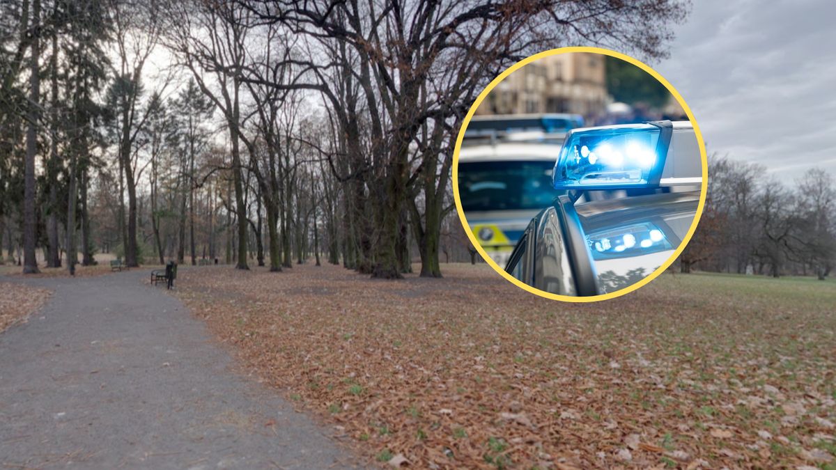 Do brutalnego ataku doszło w Parku Julianowskim w Łodzi 
