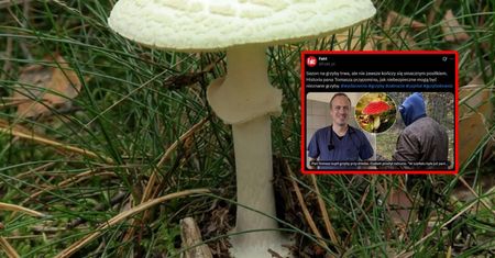 Trujące grzyby niemal go zabiły. Szokująca relacja pana Tomasza