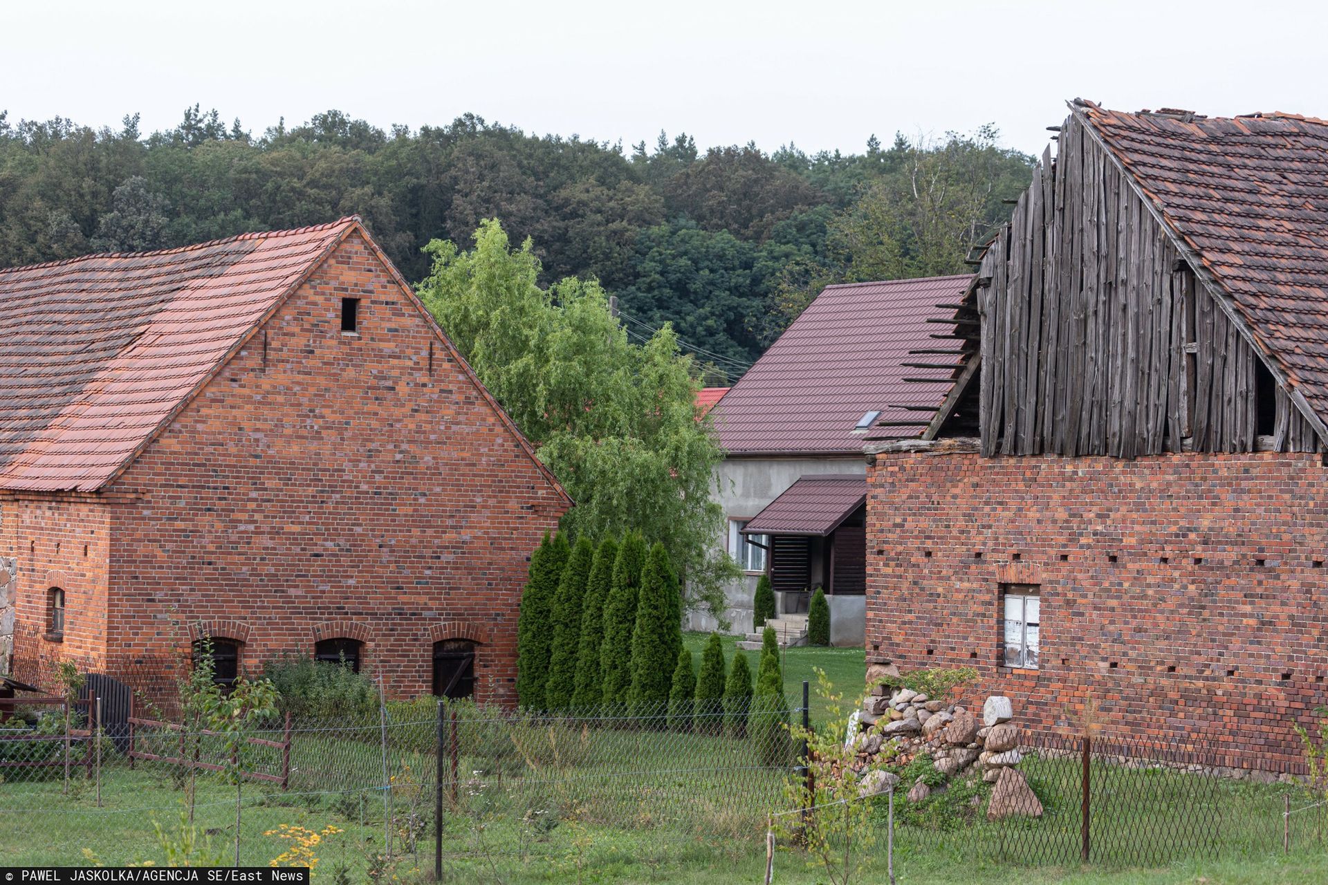wiadomości,aktualności,WP Wiadomości 