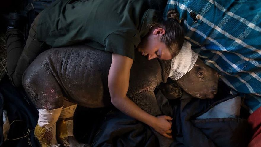 Fotografowie jednoczą się w walce przeciwko nielegalnemu handlowi zwierzętami i wydają nietuzinkowy album 1